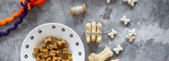 Biscotti alla mela senza glutine (per cani e gatti)