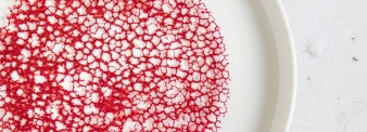 Corallo