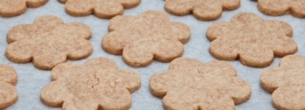 PEANUTS' BUTTER BISCUITS 