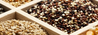 BISCUITS WITH PUFFED RICE AND CHOCOLATE 