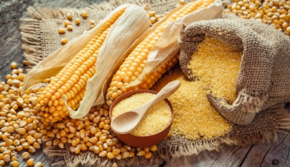 The secrets of corn